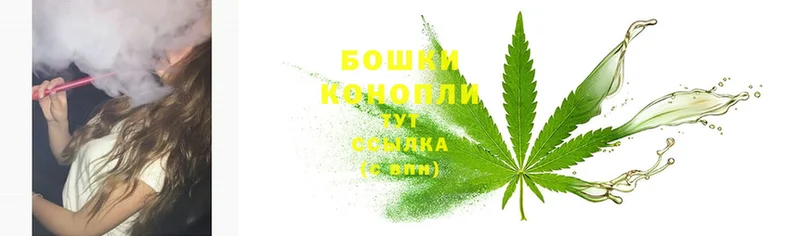 Шишки марихуана THC 21%  KRAKEN ссылка  Камызяк 